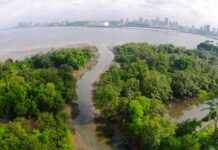 Singapore har startet plantingen av en million trær